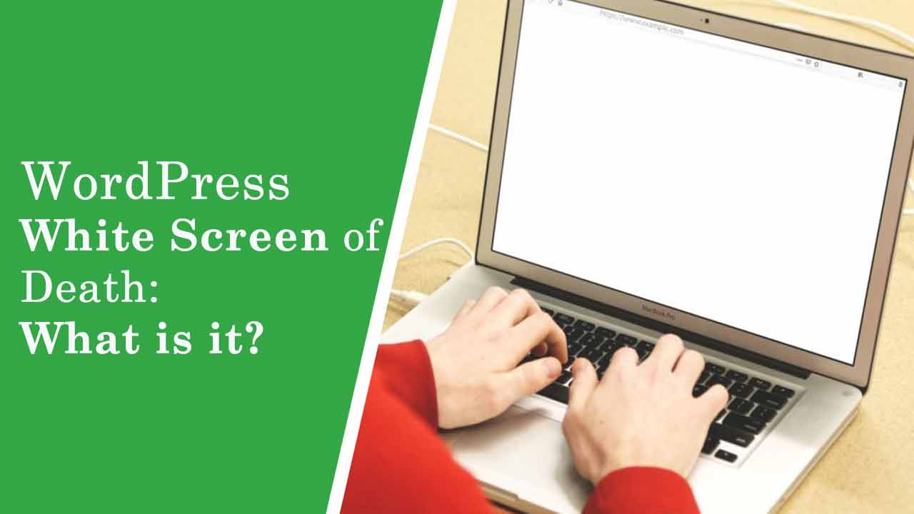 WordPress White Screen of Death: What is it?