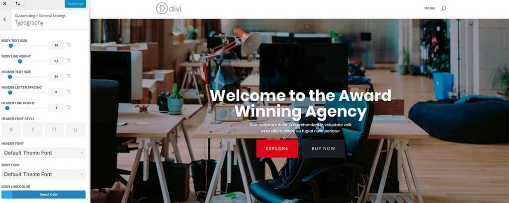 Divi Theme Customizer