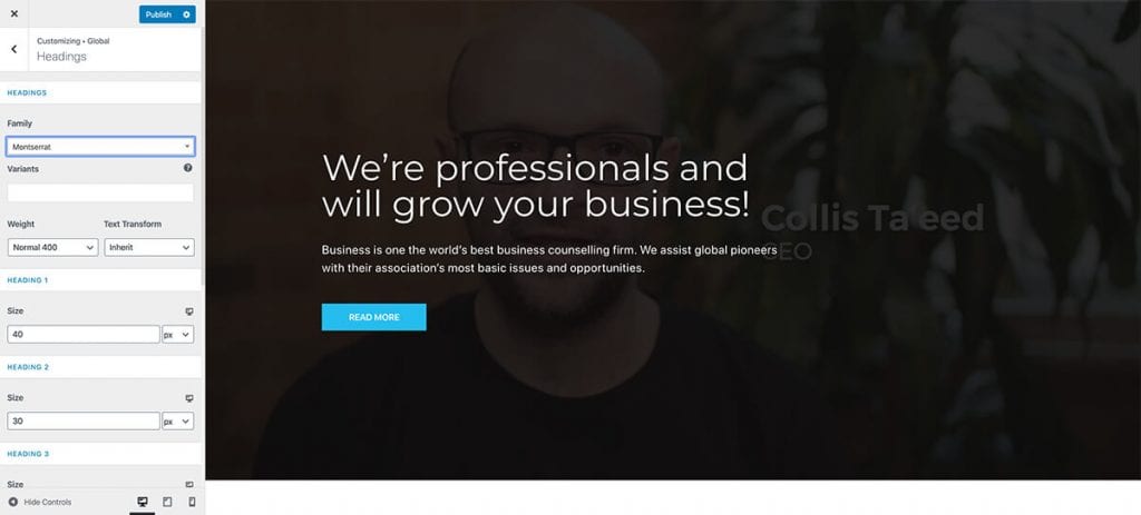 using the customizer