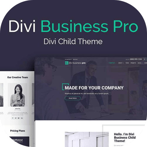 Divi Business Pro