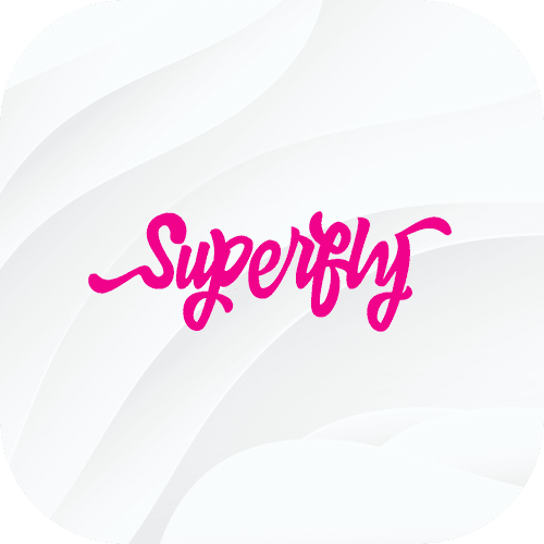 Divi BeSuper Fly