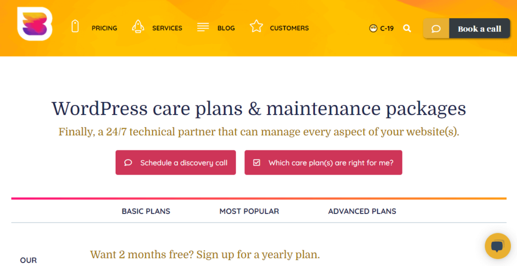 WP Buffs homepage