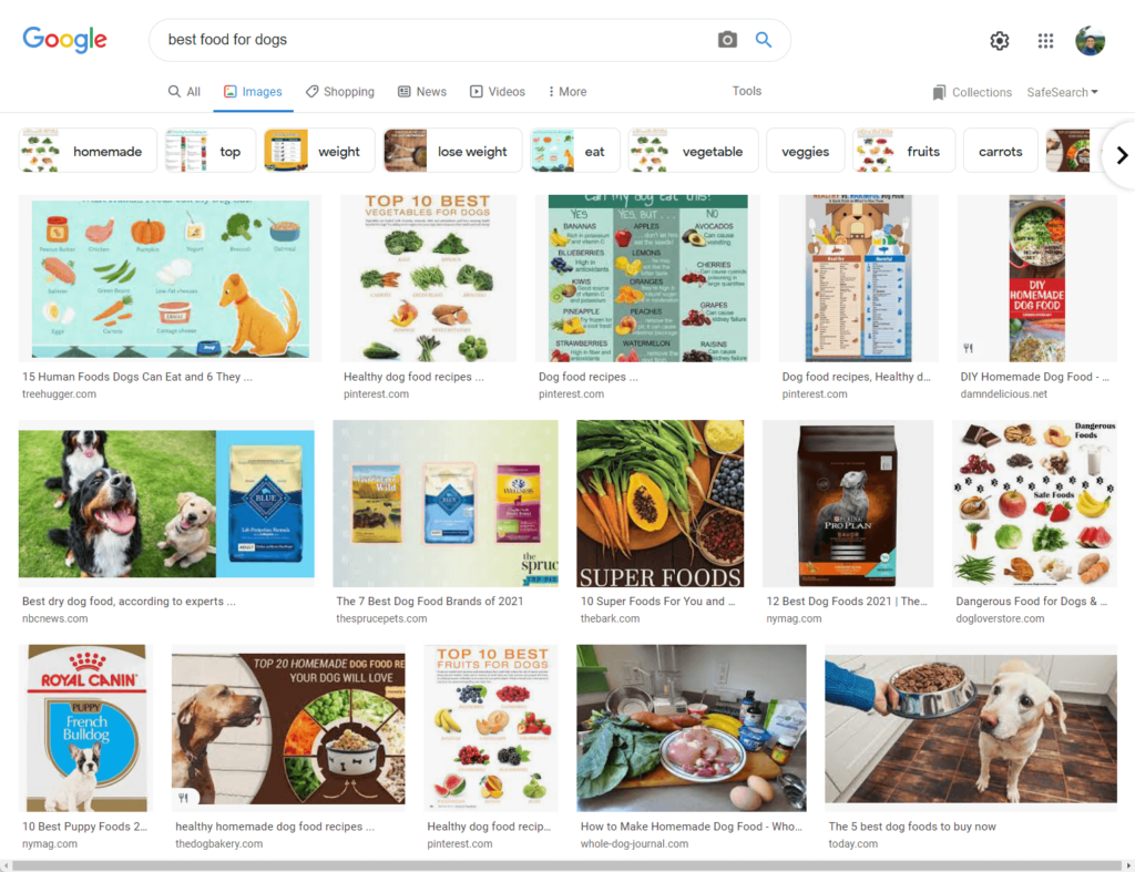 Google Images search result for best food for dogs