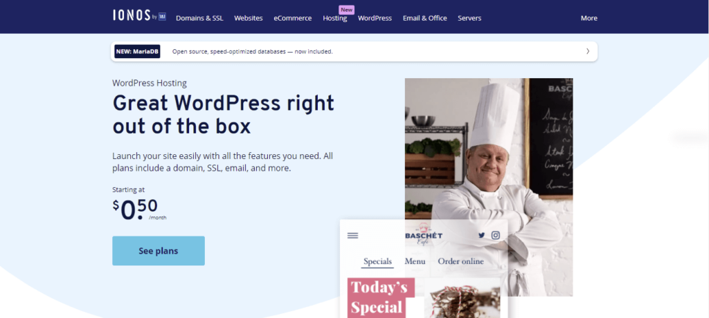 IONOS - Great WordPress right out of the box
