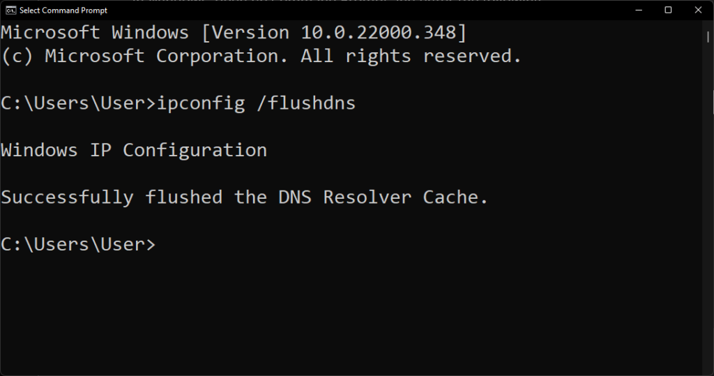 After entering the ipconfig-flushdns code, you should see a message that the DNS was successfully flushed