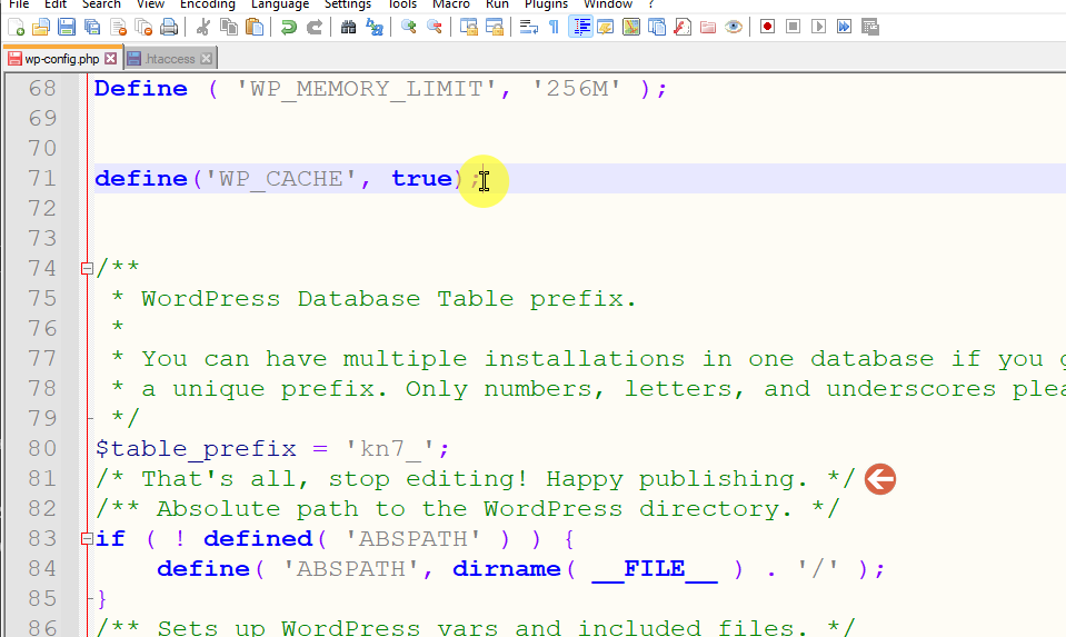 Paste the wp_cache code inside the wp-config.php file