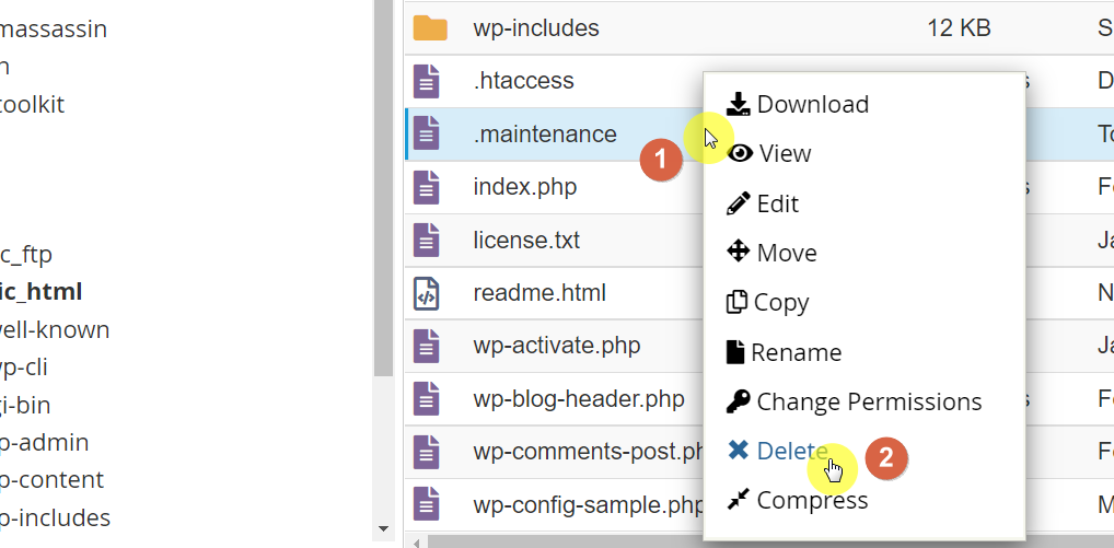 Find and delete the maintenance file