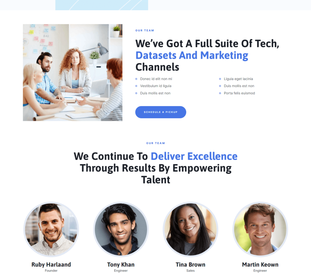 Team page of Alinea Elementor template kit