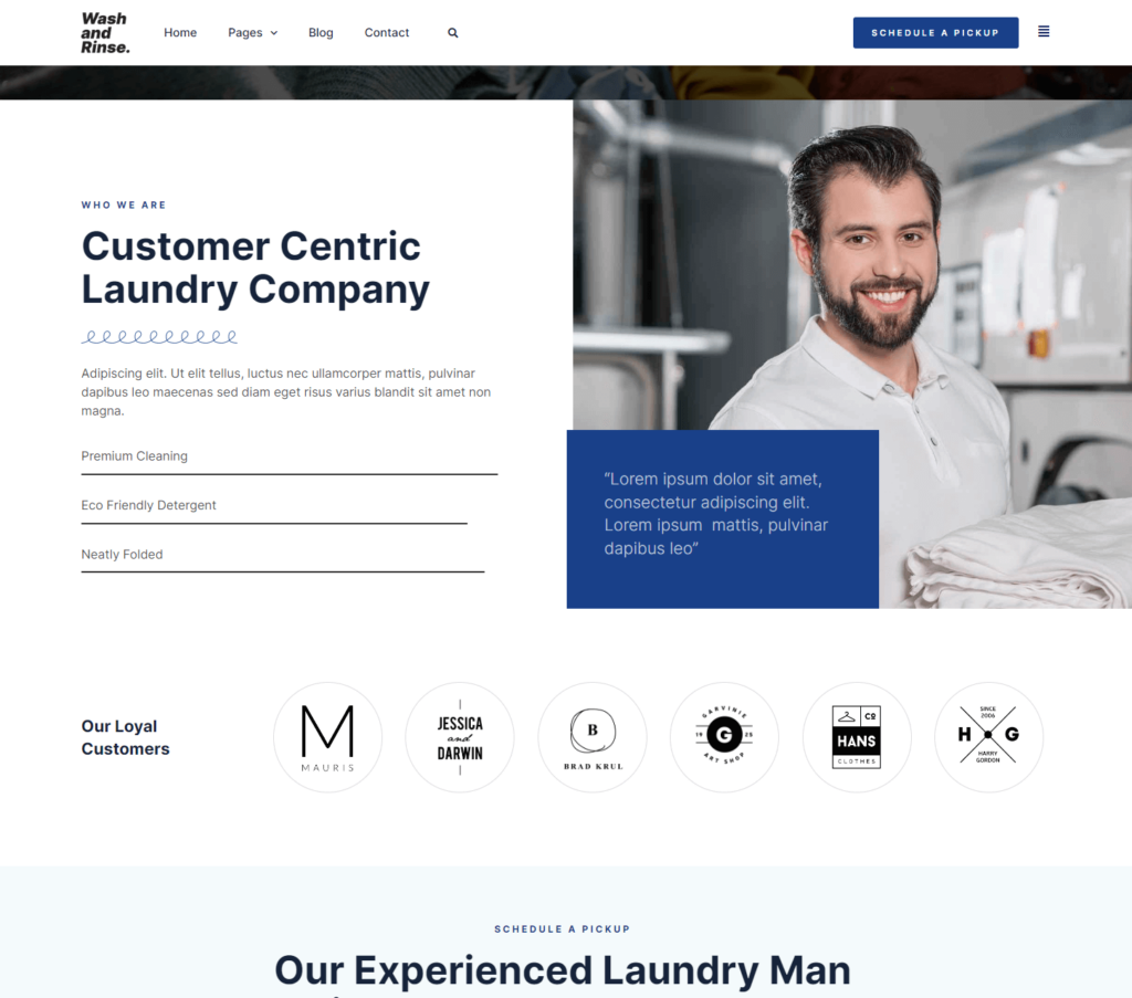 Pickup page of Wash and Rinse Elementor template kit