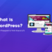 What Is WordPress?