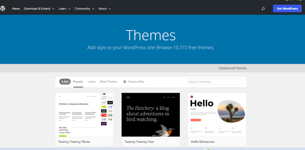 theme options