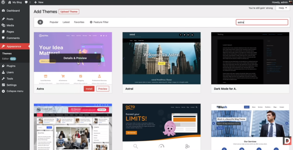 WordPress Themes