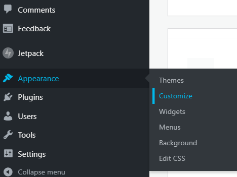 WordPress Theme Customiser