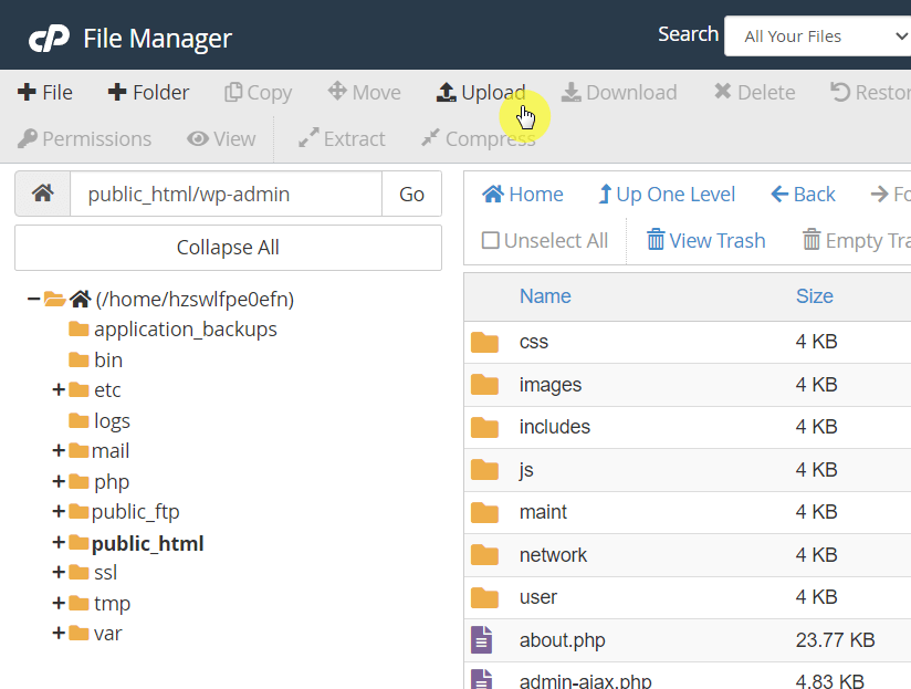 upload both files using the file manager app