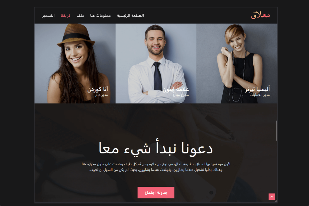 another section of the same hook demo website