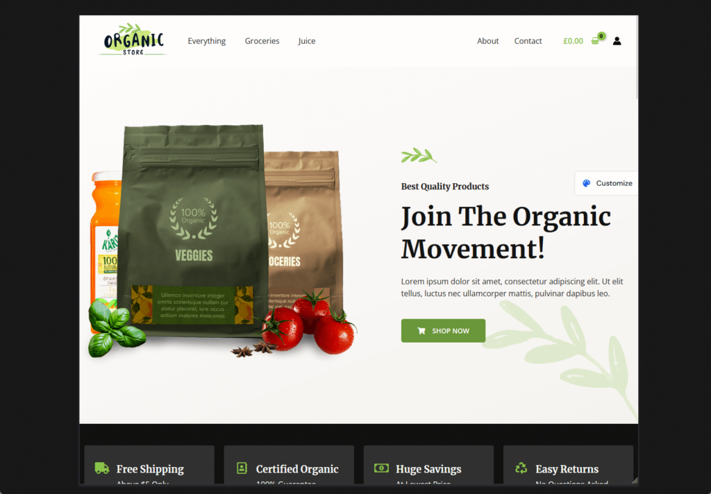 home page of astra  theme’s organic store
