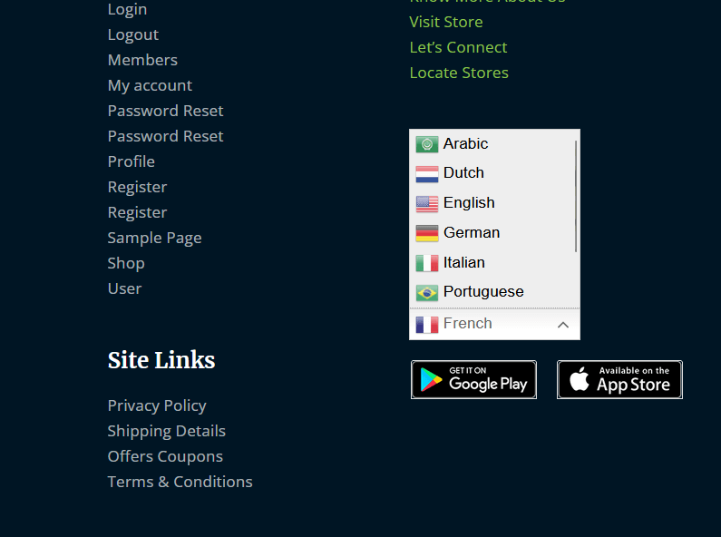 gtranslate widget in the footer location