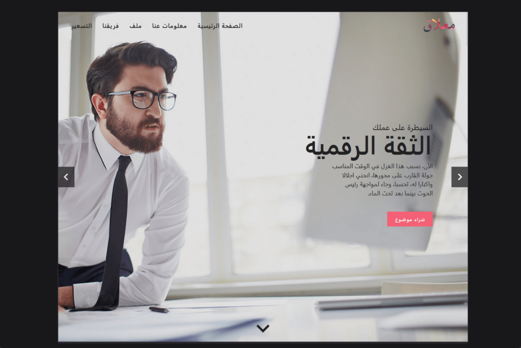 rtl demo website of the hook theme