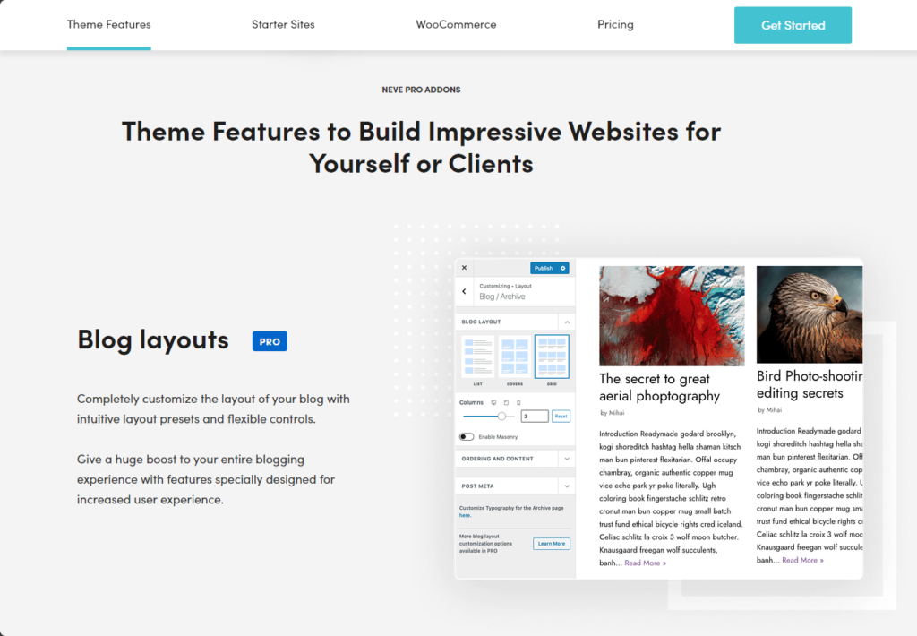 theme features to build impressive websites for yourself or clients