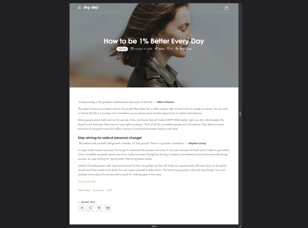 single post template of the efor theme