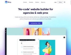 home page of the brizy page builder