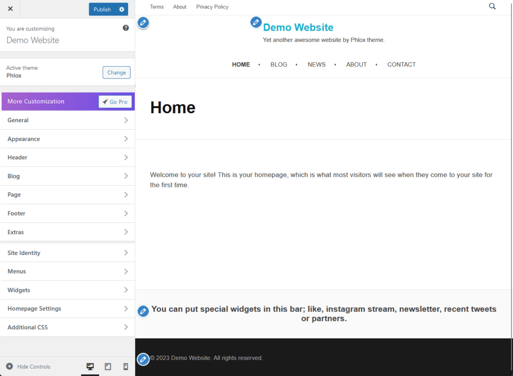 customizer options in the phlox theme