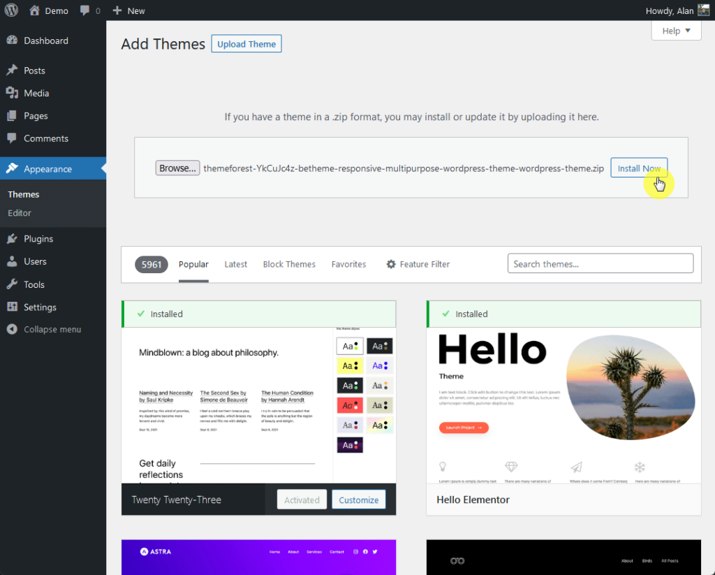 upload and install the betheme theme