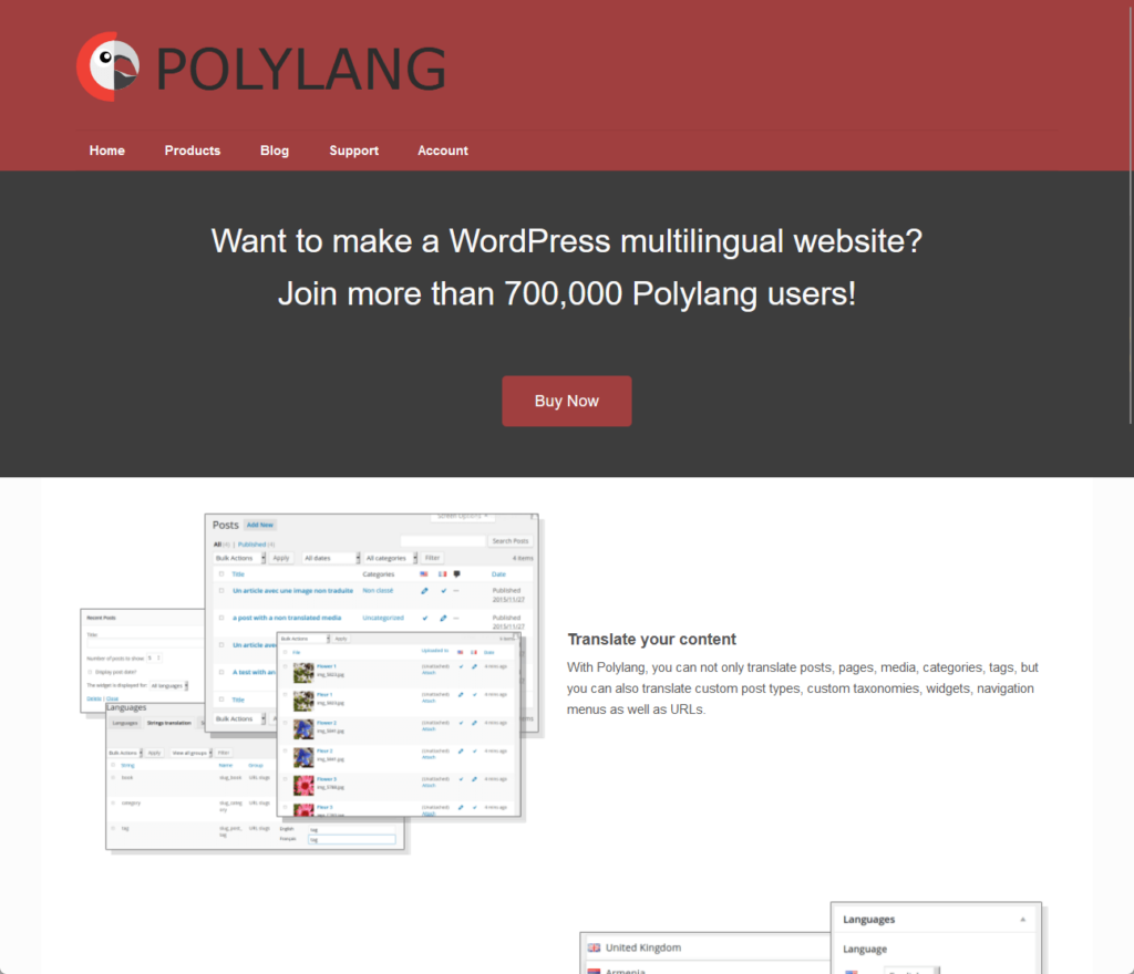 Want to make a WordPress multilingual website? Join more than 700,000 Polylang users!