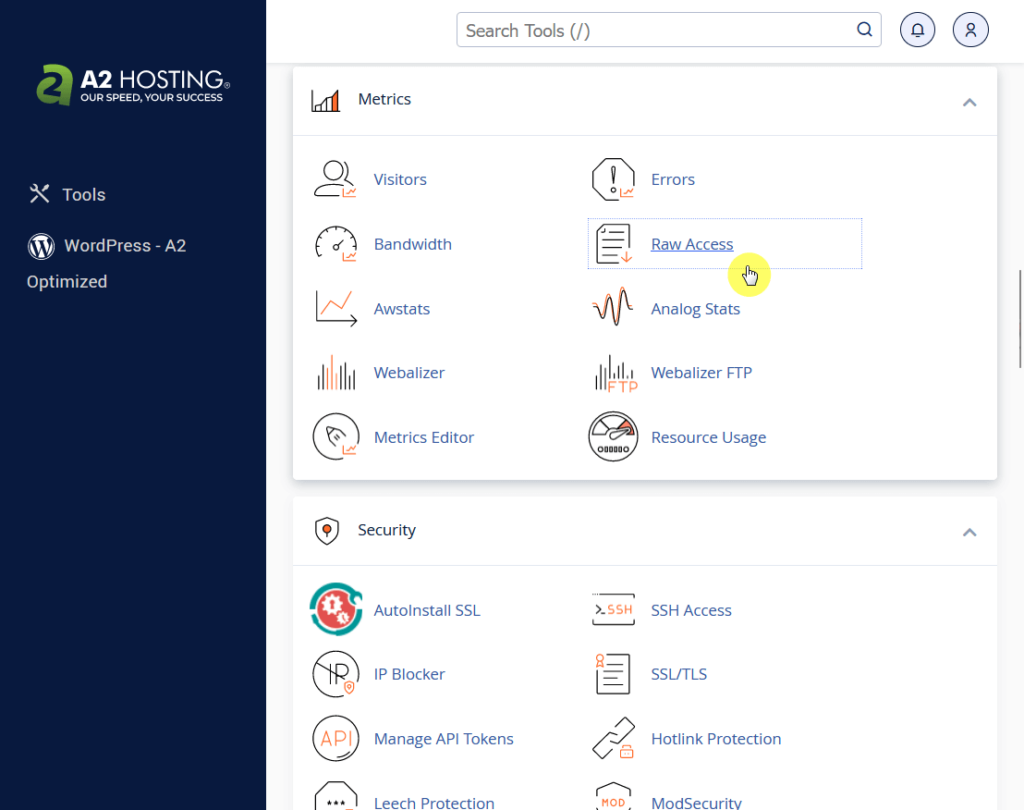 raw access item in the metrics section