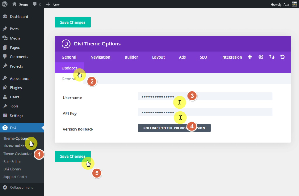 enter the username and api key of your divi theme copy