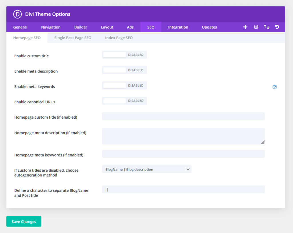 homepage seo divi theme options