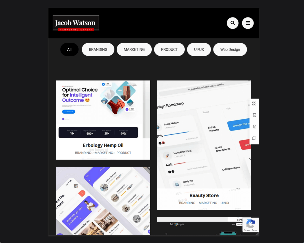 demo portfolio page of perfect portfolio pro sleek dark template