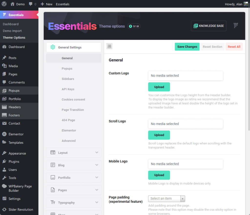 the first few general settings under essentials theme options