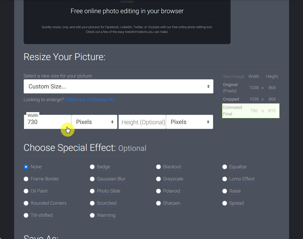enter a custom size in picresize