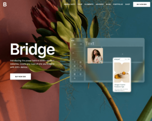 Bridge: Introducing the power behind 200K+ modern websites.
