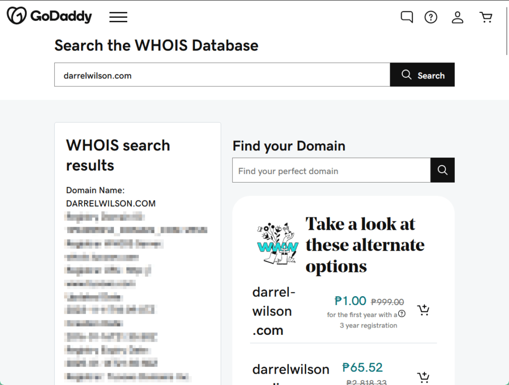 whois lookup results using the godaddy tool