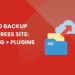 How to Backup WordPress Site: Hosting + Plugins