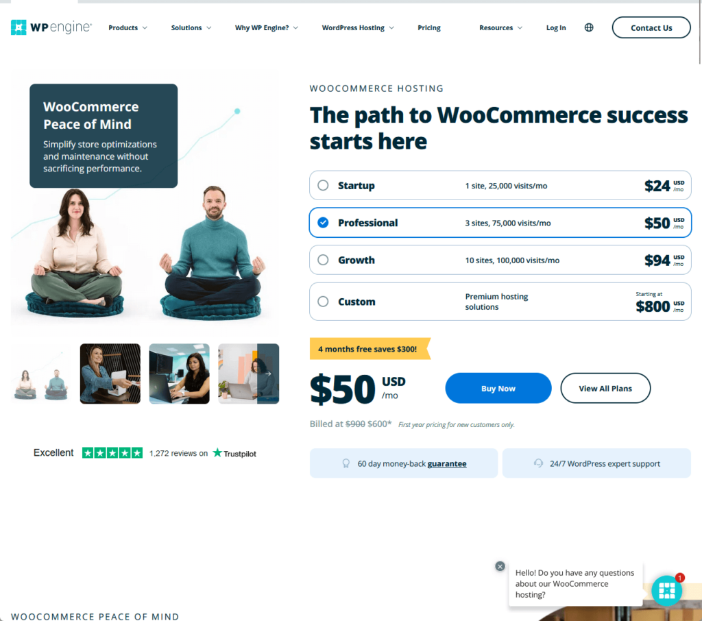 woocommerce hosting packages from wp engine