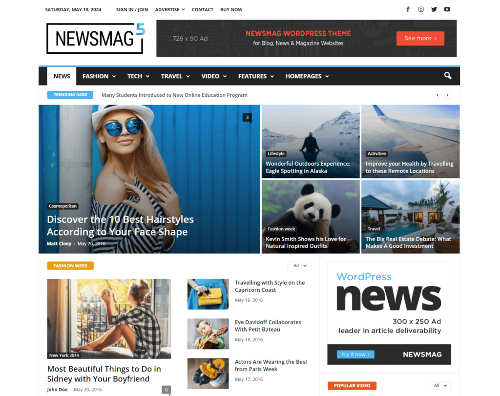 Newsmag demo website preview