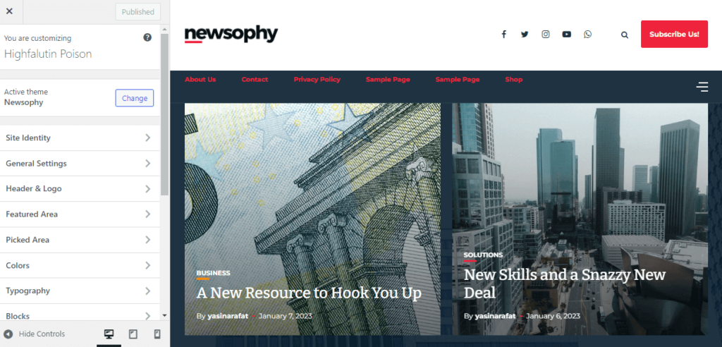 Newsophy theme options