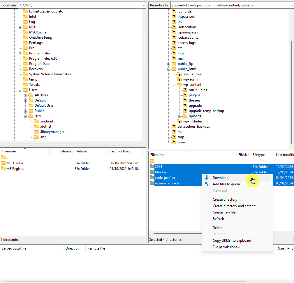using filezilla ftp client to download media library images