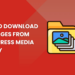 How to Download All Images From WordPress Media Library