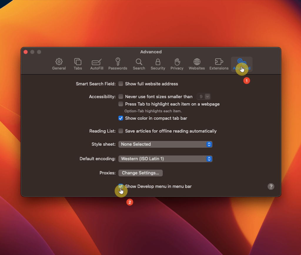 advanced tab in safari