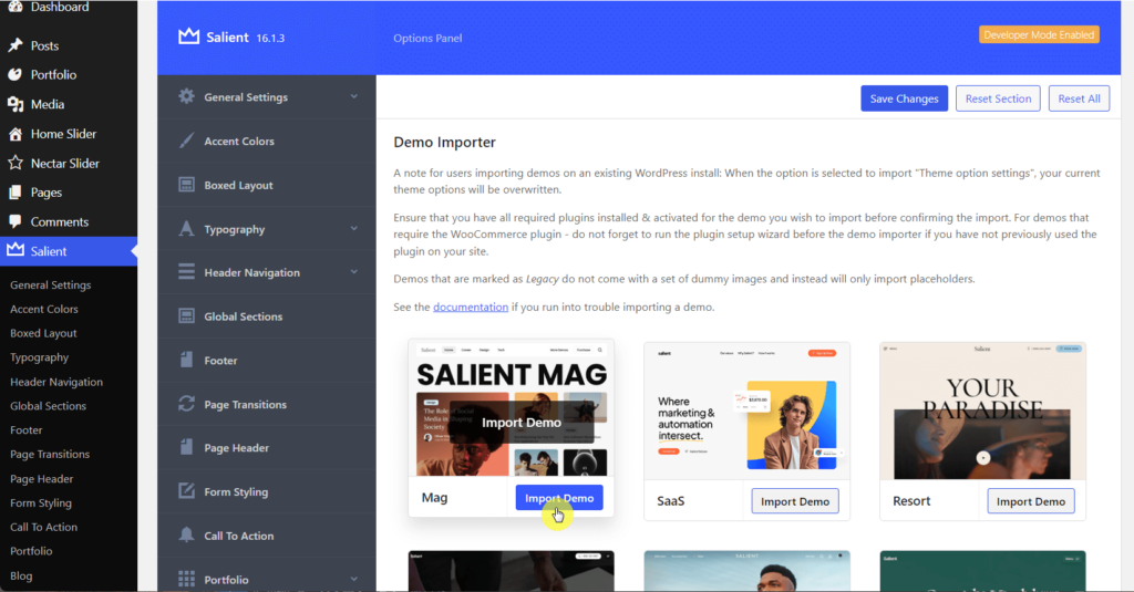 Import Salient theme demo website
