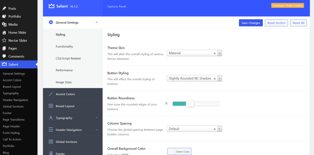 Salient theme options panel