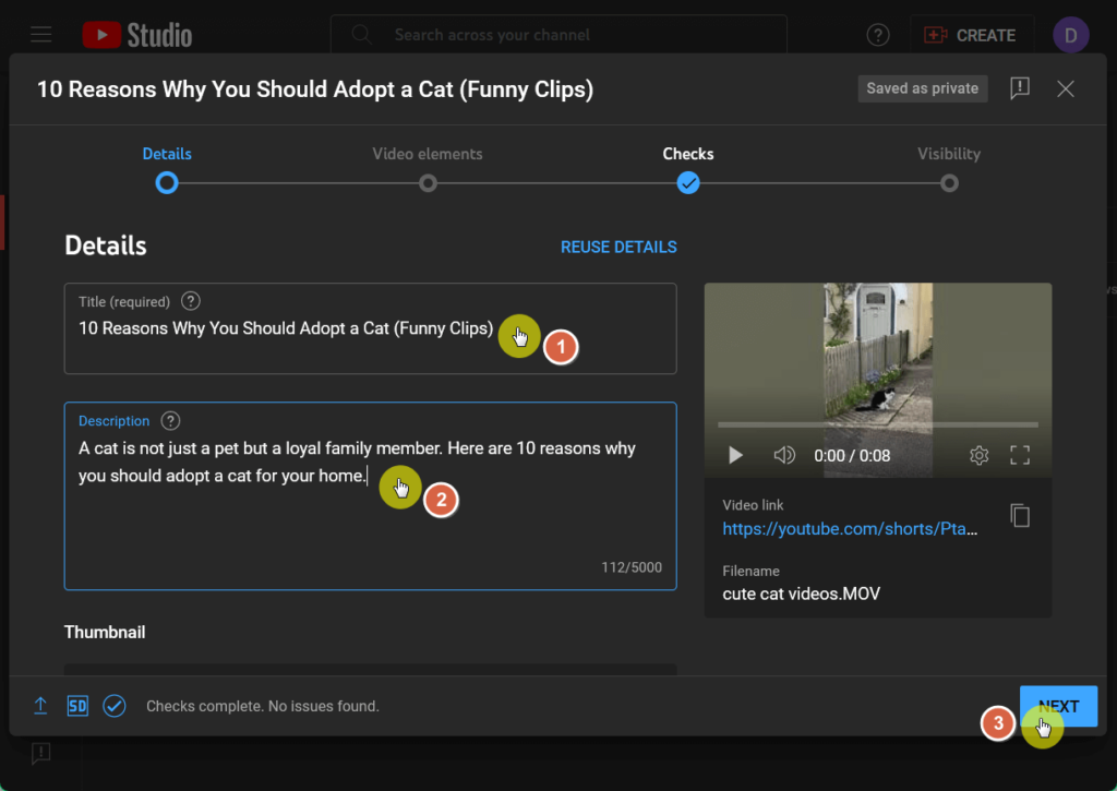 add details to youtube video