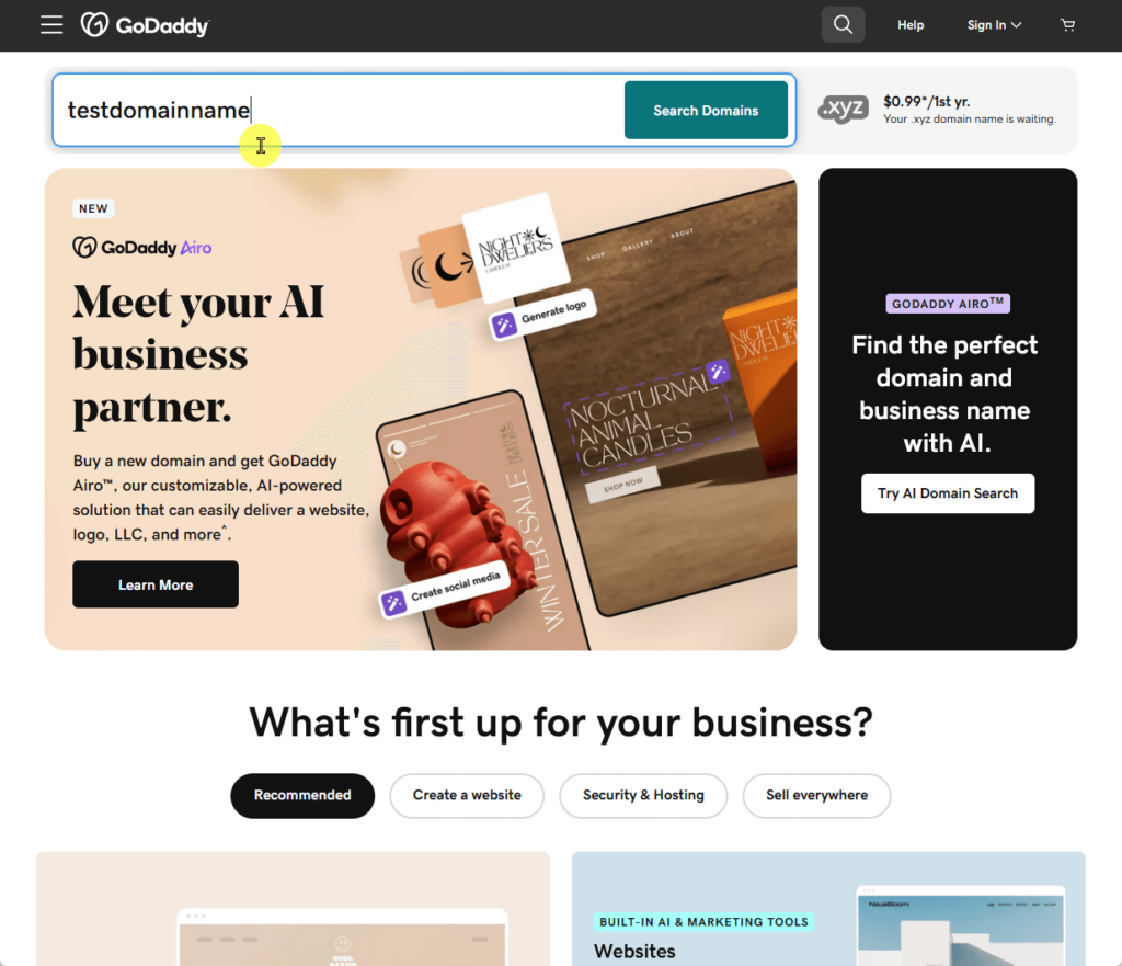 Type the domain name you want