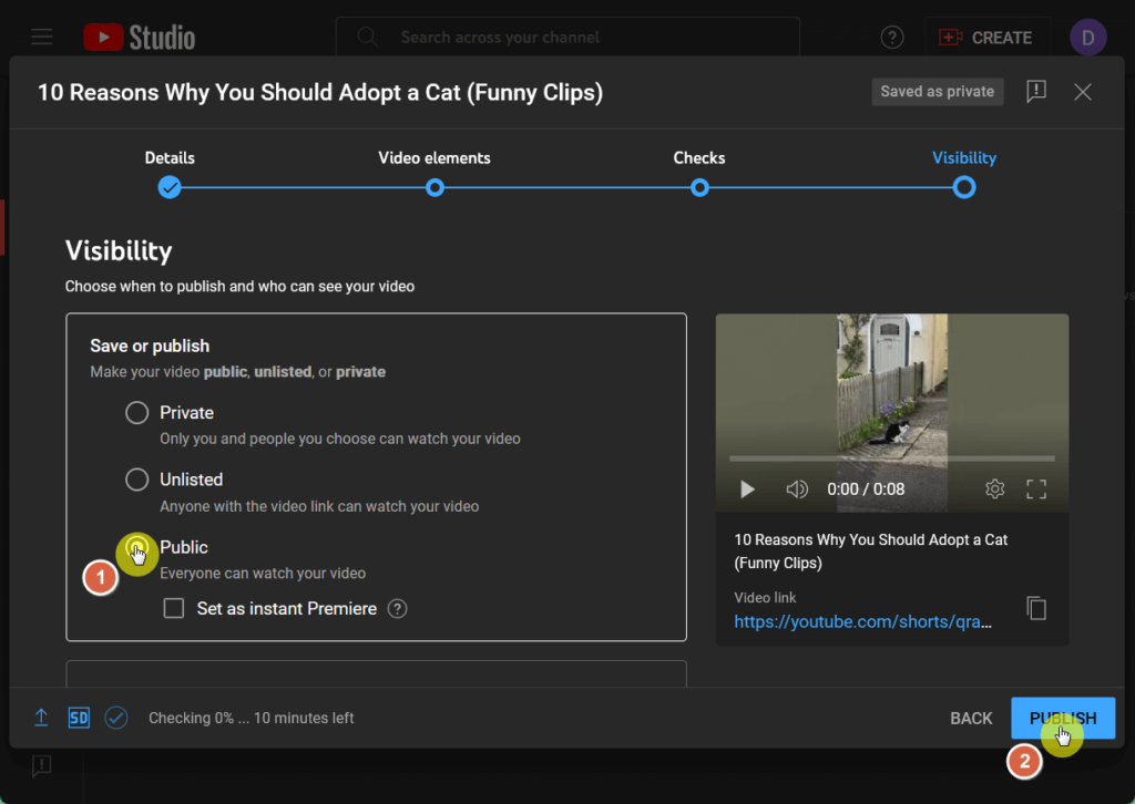 publish public video on youtube