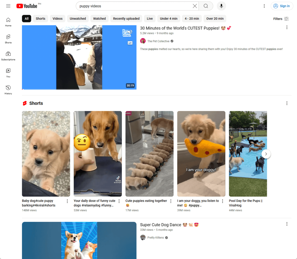 youtube search for puppy videos
