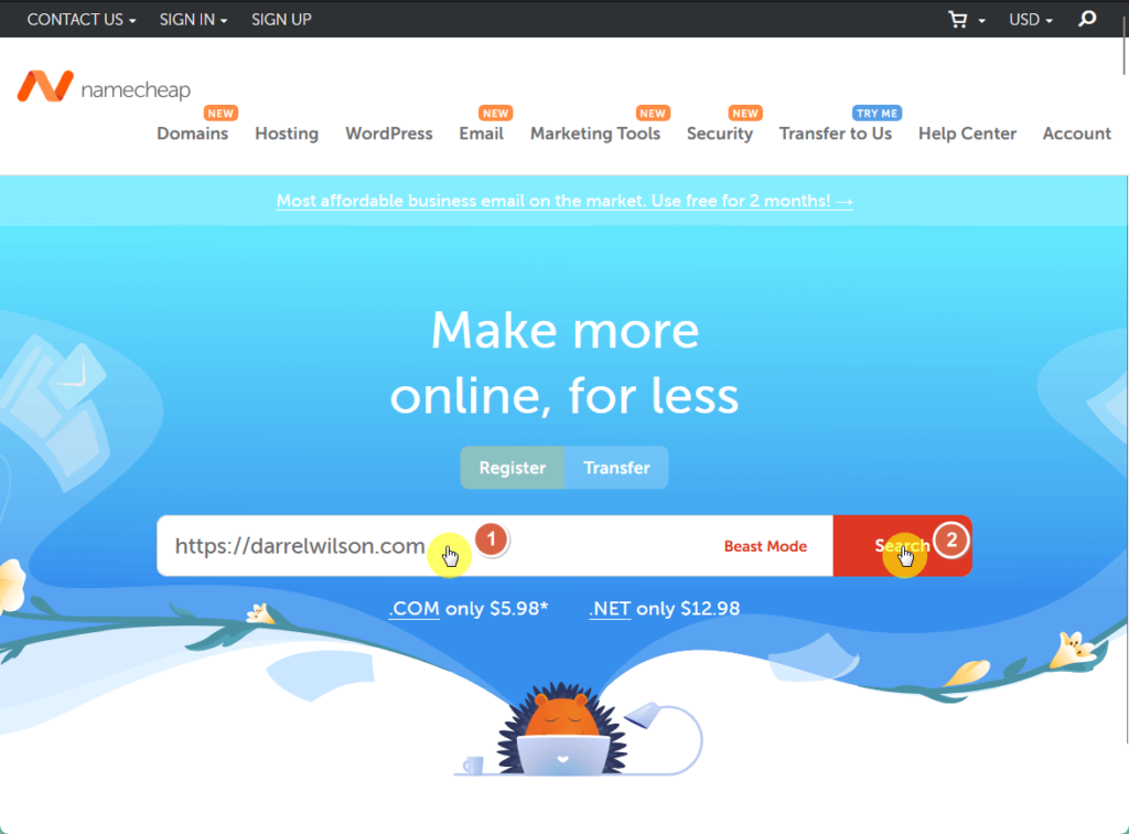 enter the domain name in the website